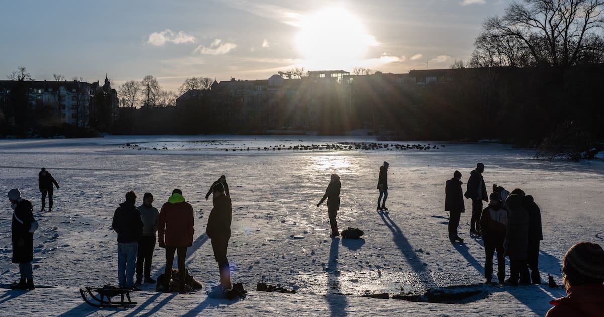 Grünflächenamt muss 25 Meter hohe Hybridpappel fällen