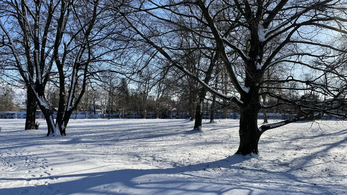Schnee in Ulm am ersten Januarwochenende 2026