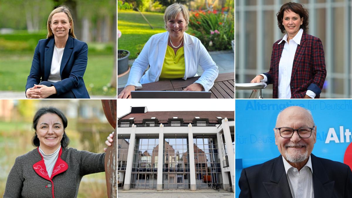 Podiumsdiskussion zur Bürgermeisterwahl heute (Sonntag, 18.01.26) im Livestream