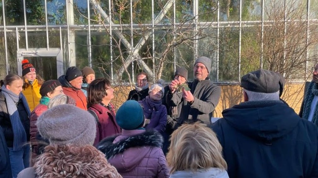 Der Andrang zum alljährlichen Winterspaziergang durch Halles botanischen Garten ist jedes mal groß. In diesem Jahr präsentiert Kustos Matthias Hoffmann winterliche Knospen und Triebe.