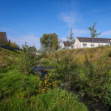 Der renaturierte Hellbach in Recklinghausen