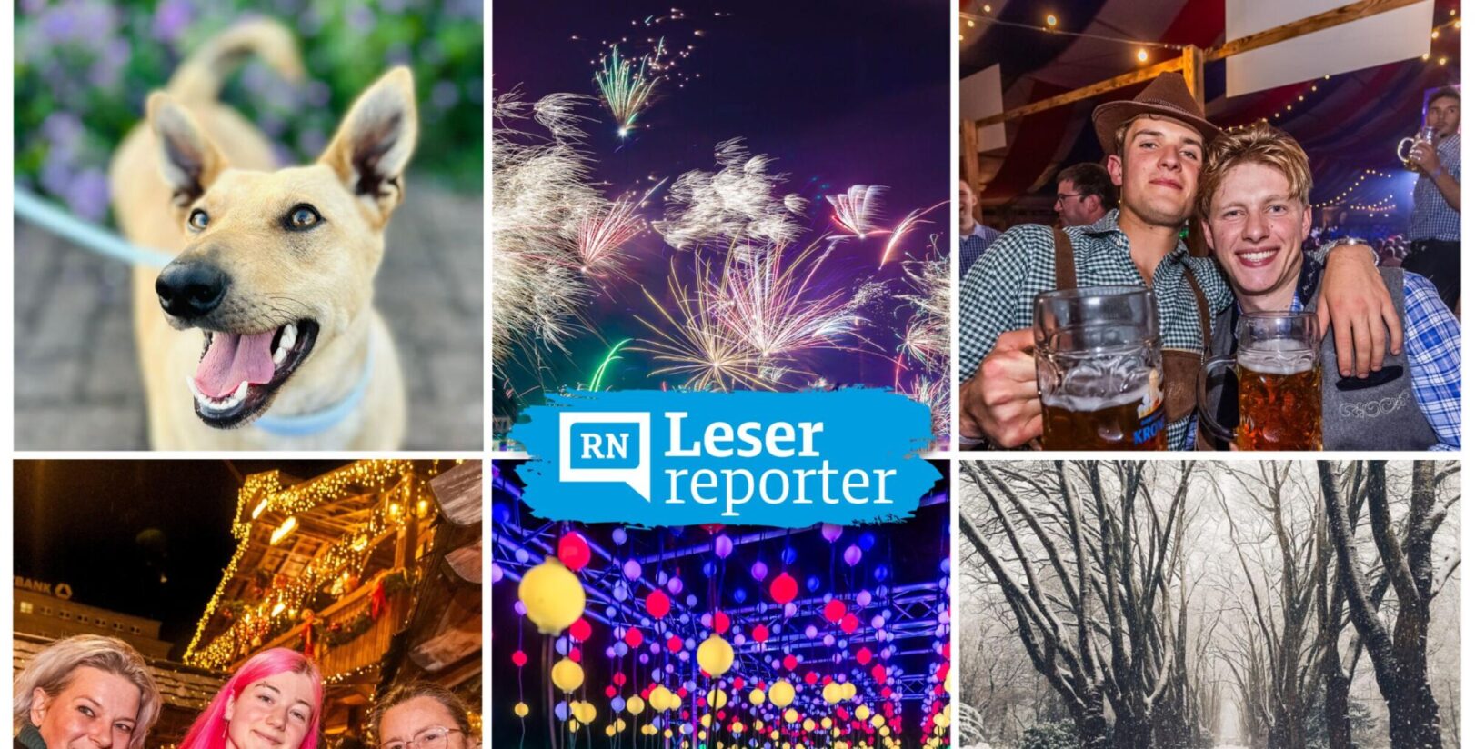 Foto des Jahres 2025: Jetzt einsenden!