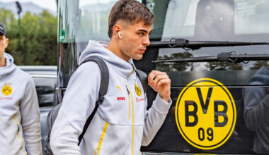 Neuigkeiten bei Anton und Anselmino