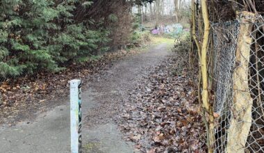 Trampelpfad zum Jüdischen Friedhof in Brackel weiter nutzbar