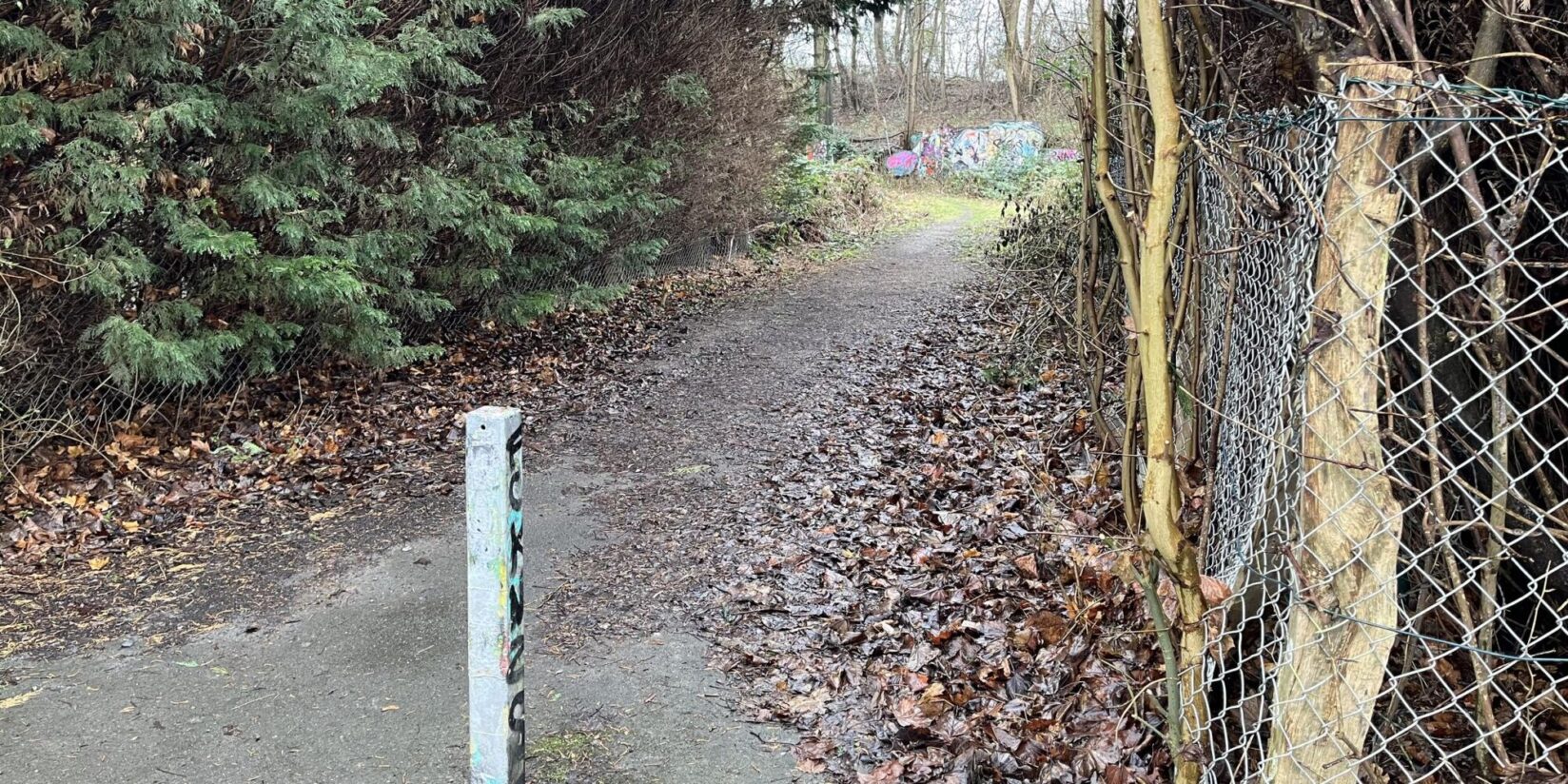 Trampelpfad zum Jüdischen Friedhof in Brackel weiter nutzbar