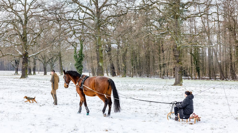 Schnee in Brandenburg macht den Wintersonntag romantisch