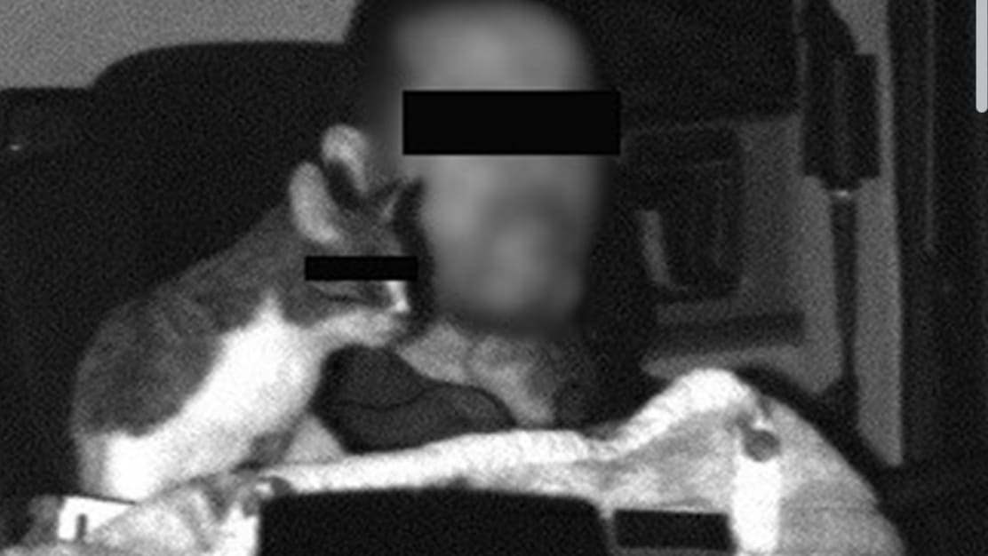 Brummi-Fahrer mit Katze geblitzt – Polizei veröffentlicht ungewöhnliches Foto | Regional