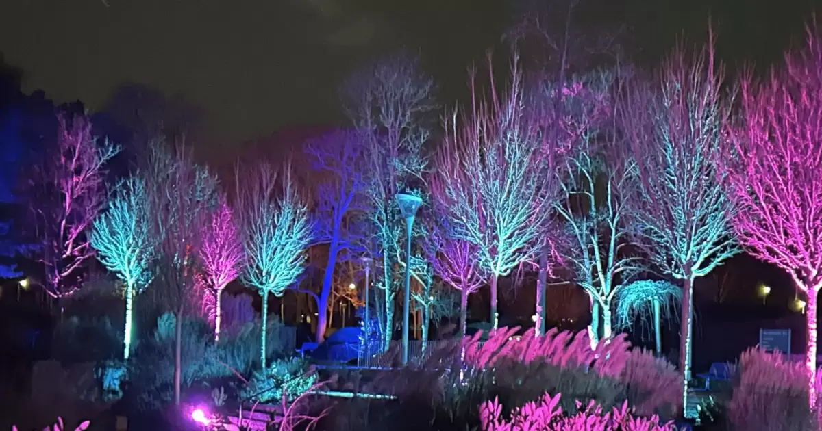 Winterlichter im Luisenpark: mit KI-Hund, Drachen und UV-Dschungel - Mannheim