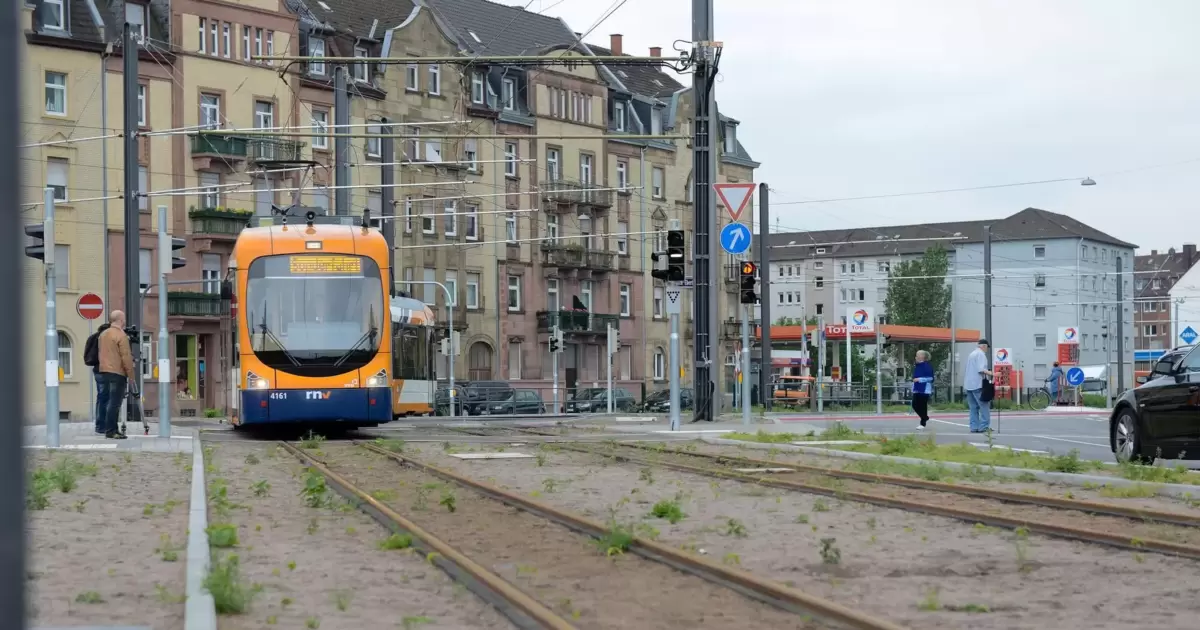 Angriffe auf Straßenbahnen in Mannheim: CDU fordert Konsequenzen - Mannheim