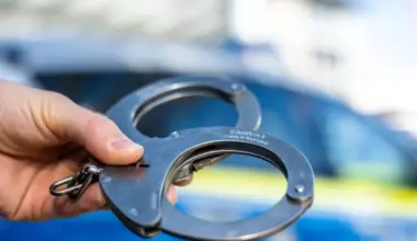 Fünf mutmaßliche Schleuser geschnappt - Mannheim/Heidelberg/Rhein-Neckar-Kreis