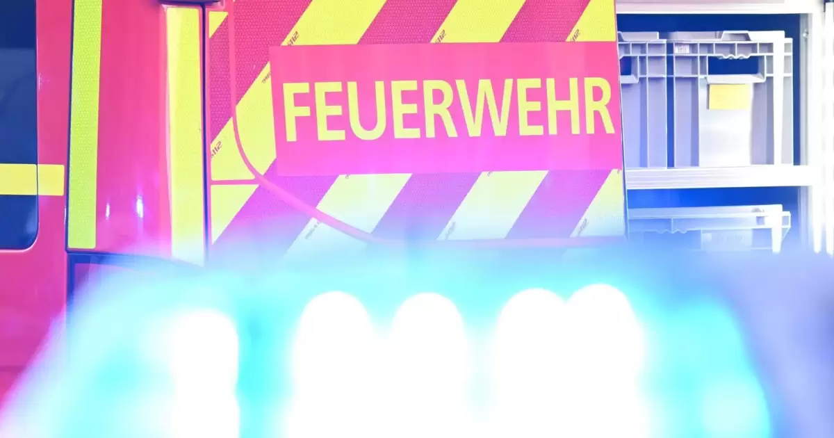 Kaminbrand: Schornsteinfeger unterstützt Wehrkameraden - Hagenbach