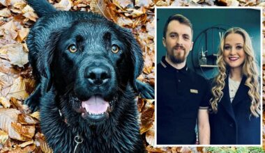 Nach Schockdiagnose: Paar sagt Hochzeit ab, weil Hund Krebs hat | News