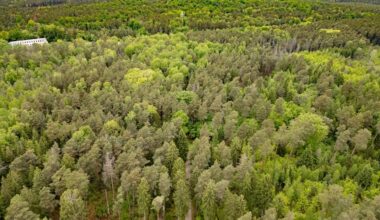 Mit diesem Justizfällen beginnt das Jahr in Sachsen