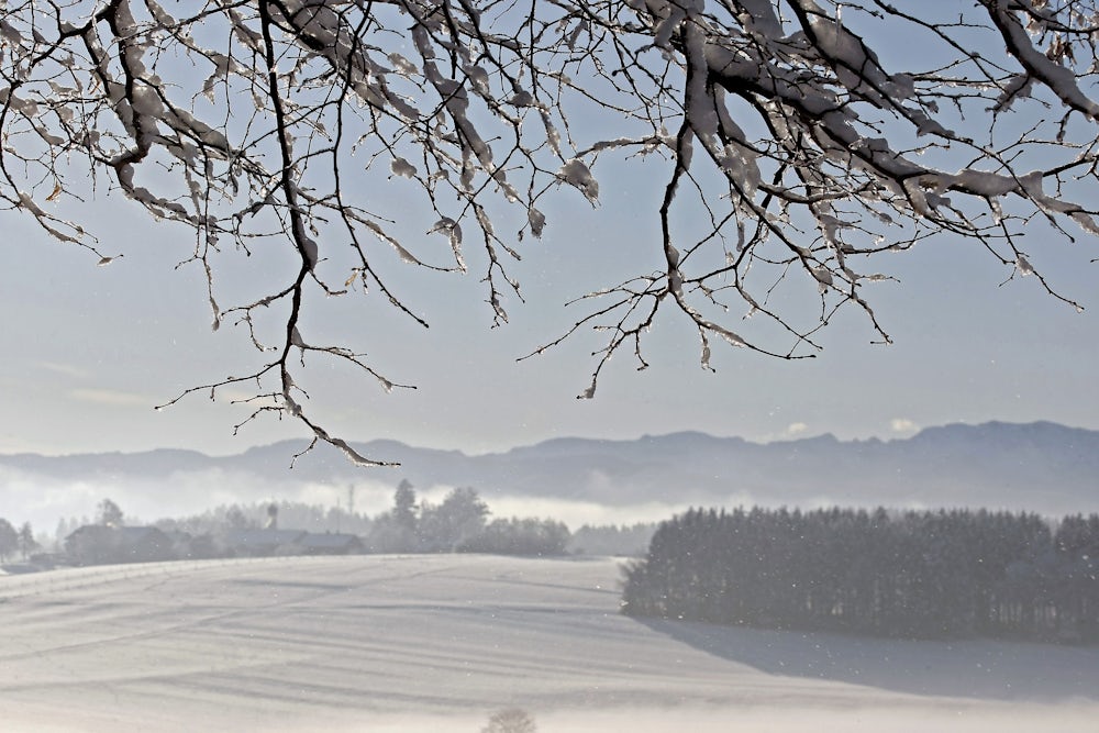 An der Maria-Dank-Kapelle auf einem Moränenhügel im Westen von Degerndorf bietet sich ein prächtiges Winterpanorama nach Süden.