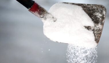 Boyens Medien - Sicherheit für Fußgänger erhöht: Hamburg erlaubt Tausalz auf Gehwegen wieder