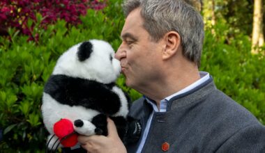 China leiht zwei Bären an München aus: Söder bekommt ein Panda-Pärchen | Politik