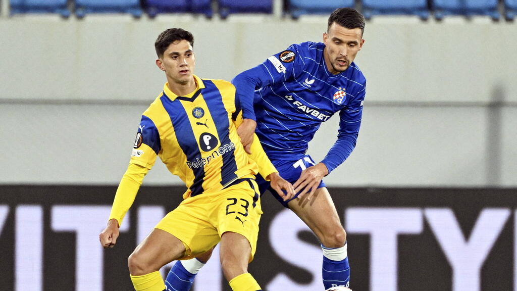 Das zahlt der FC Schalke 04 für Dejan Ljubicic