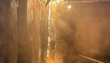 Nach Russland-Spekulationen: Neues Bekennerschreiben der Berliner Strom-Terroristen | News