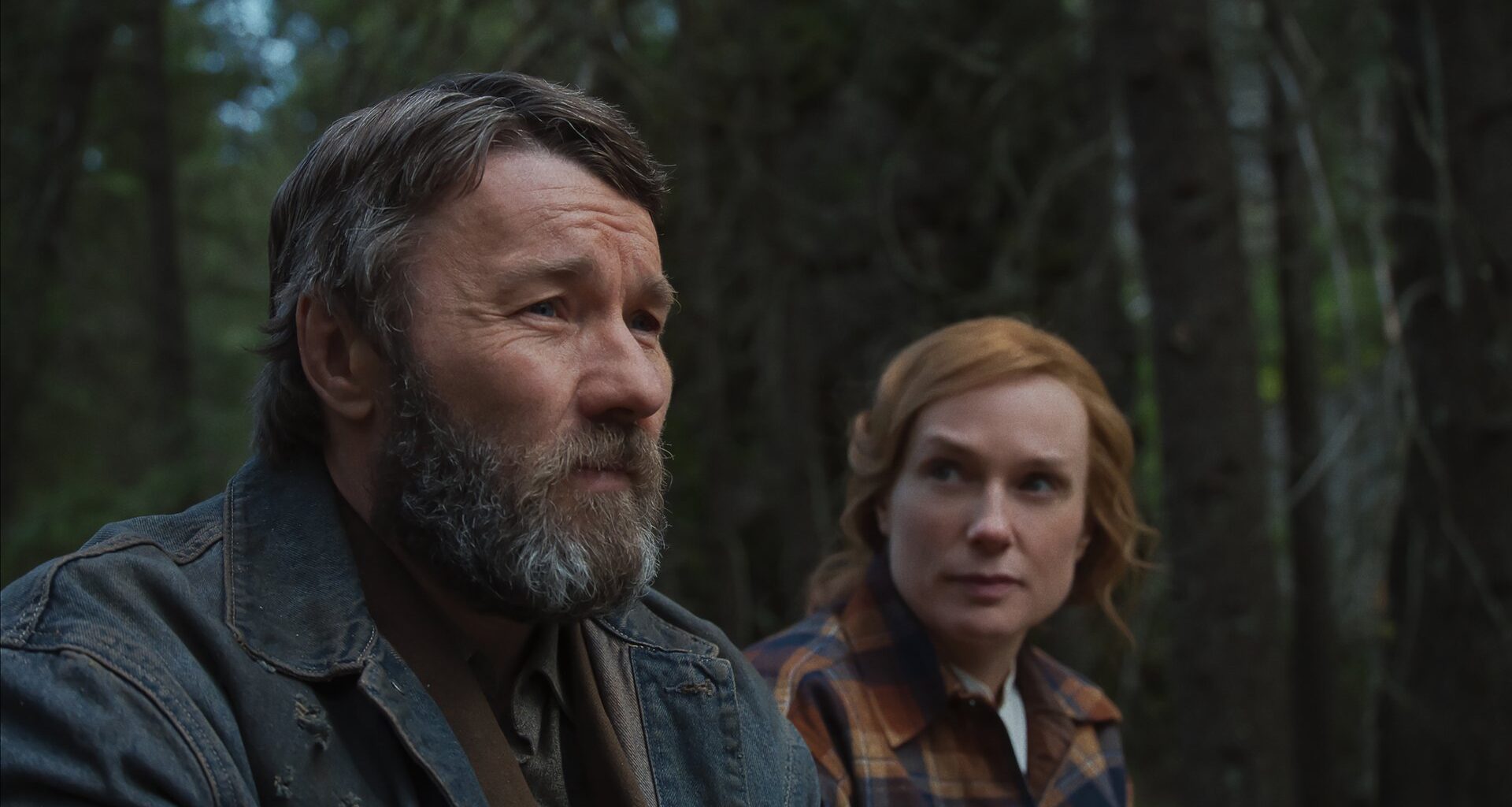 77 Empfehlungen für alle Genres (Liste)