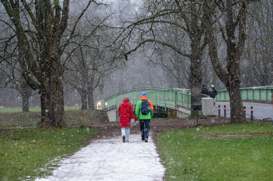 Winter-Wetter Bis -16 Grad im Süden – auch Köln bibbert weiter