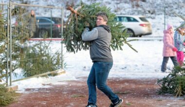 "Weltmeisterschaft" im Weihnachtsbaumwerfen in Deutschland