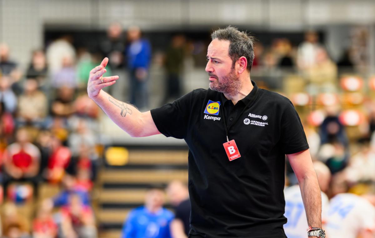 ÖHB-Männer verlieren EM-Test gegen Frankreich 29:34