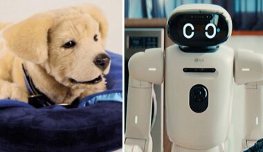 CES 2026: Diese Messe-Neuheiten bringen die KI mitten in den Alltag | Leben & Wissen