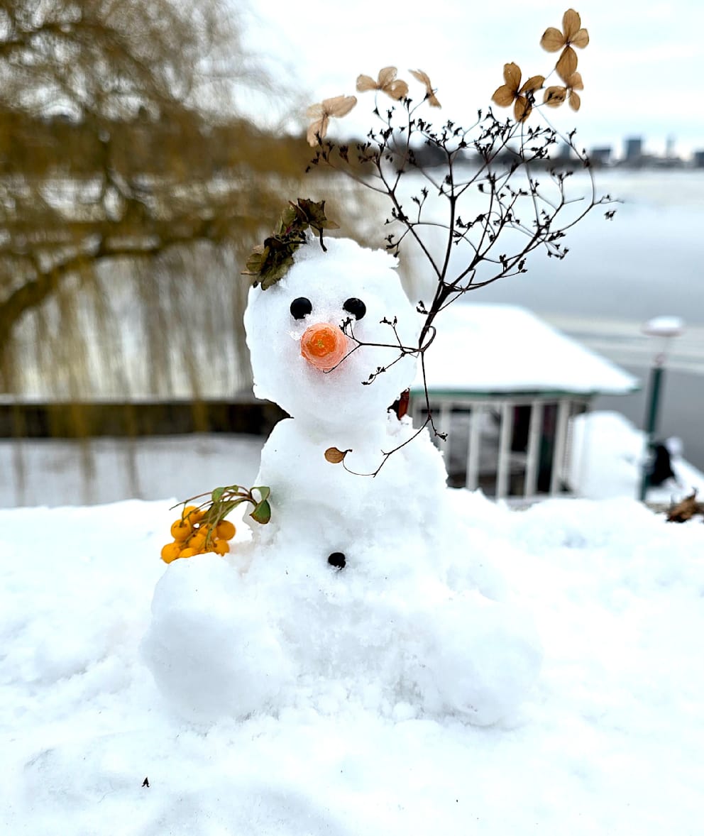 Liebevoll dekoriert: einer der vielen Hundert neuen Schneemänner an der Alster