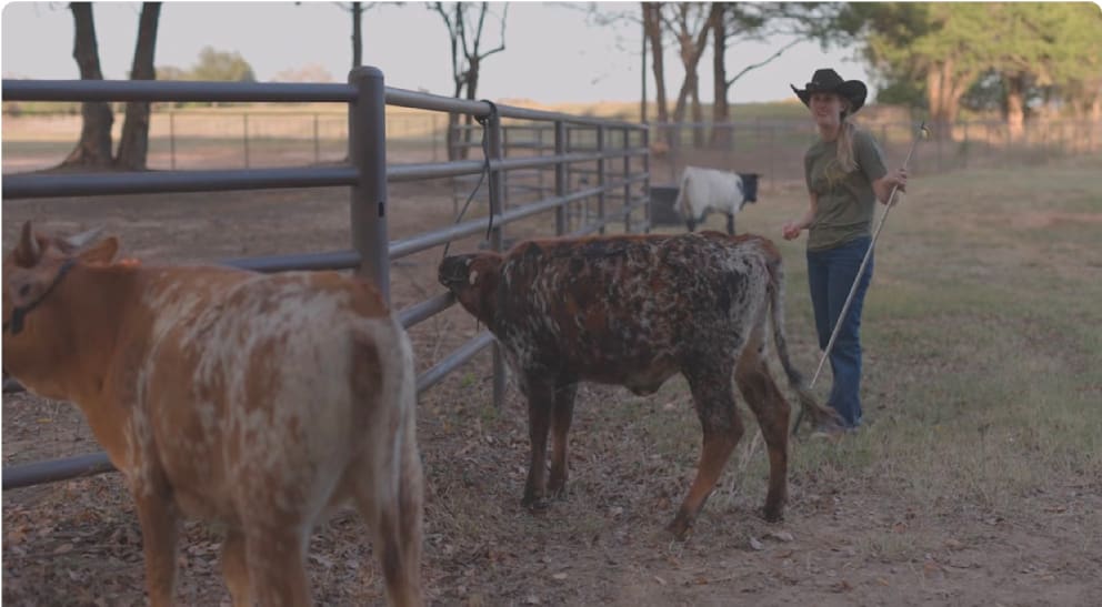 Hinter den Kulissen der Schumacher-Ranch: Gina Schumacher kümmert sich neben ihren Pferden auch um ihre Kühe