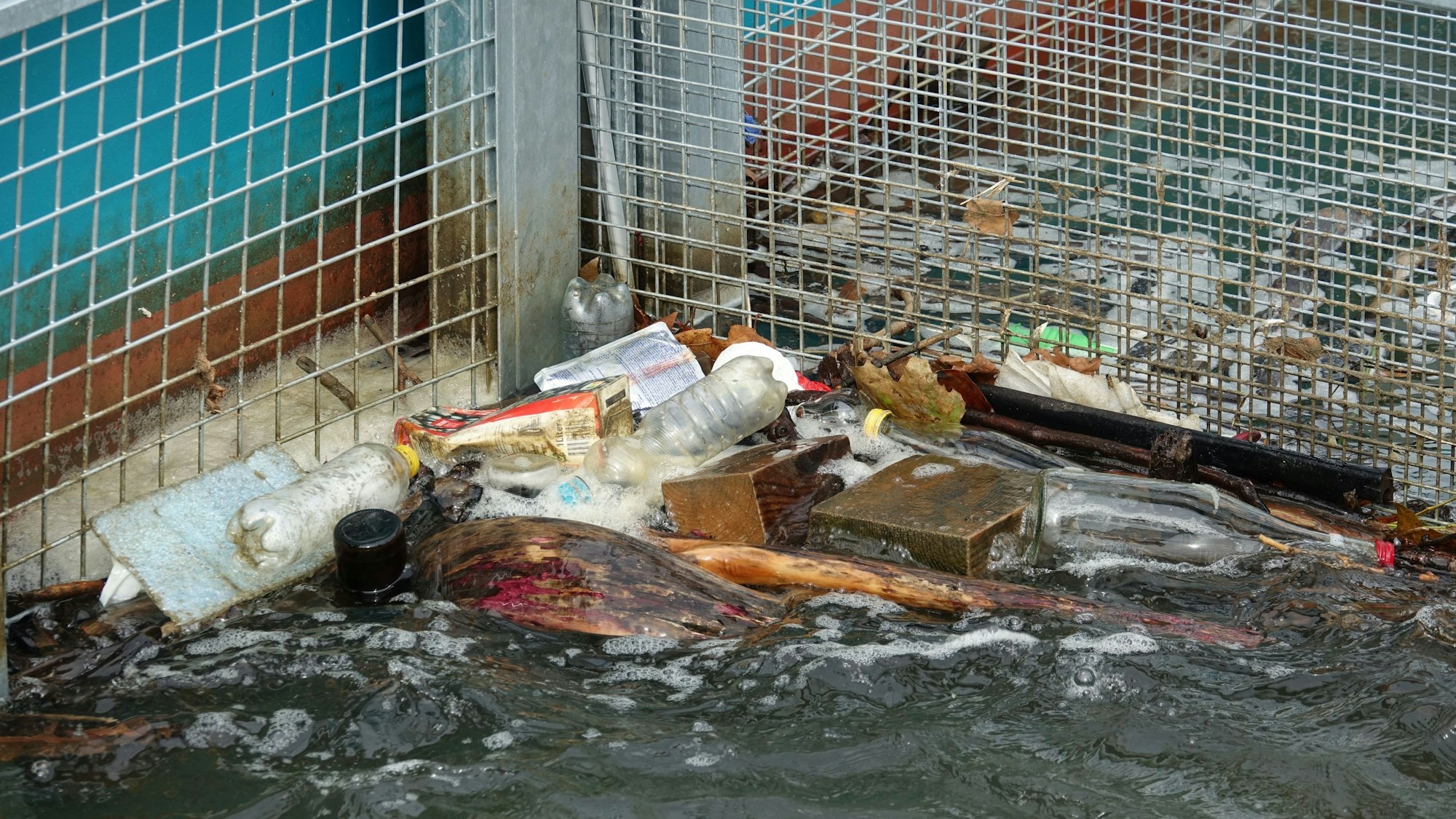 Das Bild zeigt Müll, der sich in den beiden Körben der Müllfalle «RheinKrake» verfangen hat. Foto: Leandra Hamann/Nature/dpa+