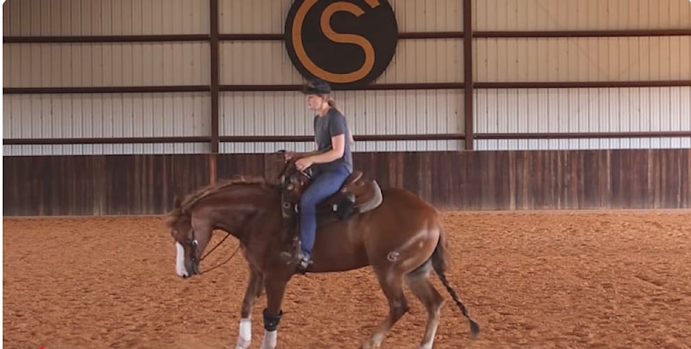 Renommiertes Trainingszentrum für Reining-Pferde: Gina Schumacher zeigt ihre „tägliche Hingabe, die hinter dem Training von Westernpferden steht“