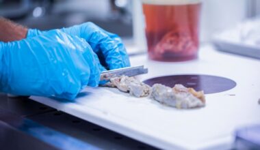 Restaurant in Bonn nach Kontrolle geschlossen: „Schaben und Kot“