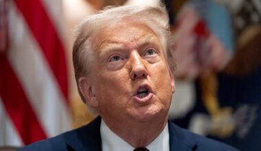 Walz: Trump zieht ICE-Agenten aus Minnesota ab | Politik