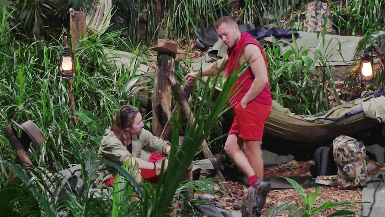 Jetzt greift RTL durch: Bauer Patrick mit Tierquälerei im Dschungelcamp? - BILD