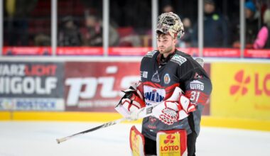 Rostock Piranhas verpassen in Halle den vierten Sieg in Folge