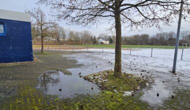 Stadt will Förderung für Sportzentrum Holzwiese beantragen