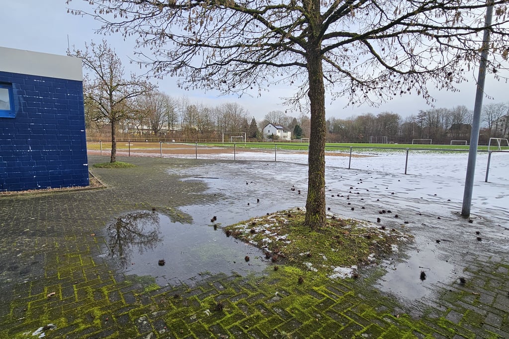Stadt will Förderung für Sportzentrum Holzwiese beantragen