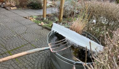 Sturmtief Elli: In Köln hat der gefürchtete Schneesturm versagt