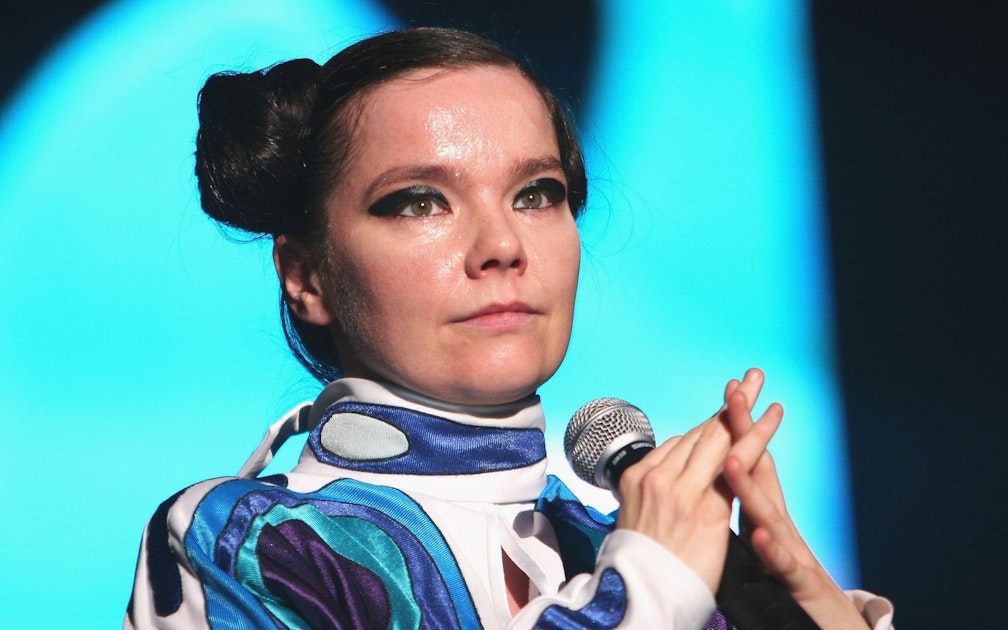 Björk irritiert mit Beitrag zu Grönland-Kontroverse