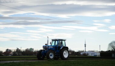 München: Krause und Baumgärtner äußern sich zur SEM - SPD fehlt, beinahe Eklat wegen AfD - München