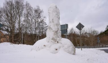 Aufregung in Erzgebirgsdorf: Der Schnee-Penis von Grießbach | Regional