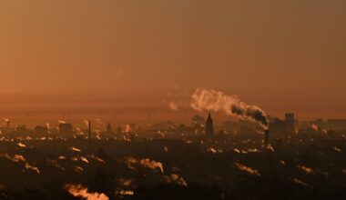 19-Jähriger in Berlin verurteilt – er kam in Österreich zur Welt