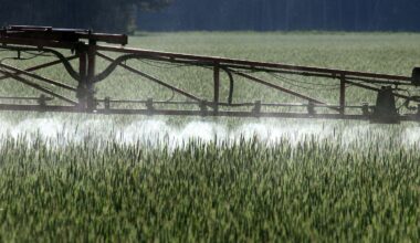Soll Landwirte schützen: Frankreich verbietet Agrarimporte mit verbotenen Pestiziden