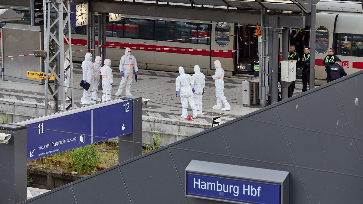 Wahllose Stiche am Hauptbahnhof: Messerangreiferin von Hamburg muss in Psychiatrie