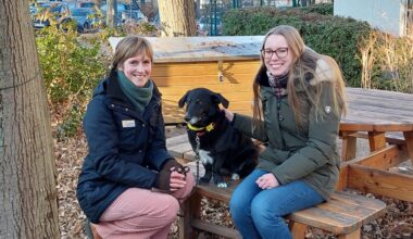 20 Minuten Stressabbau mit Pina und ihren „Kollegen“ - DAWO!