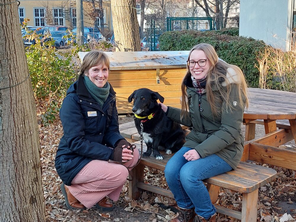 20 Minuten Stressabbau mit Pina und ihren „Kollegen“ - DAWO!