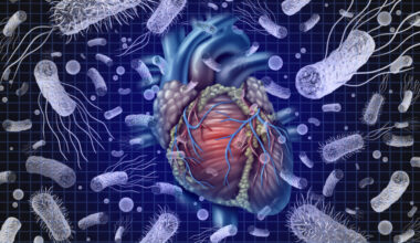 Verzögerter Antibiotikastart bei stabiler Endokarditis möglich