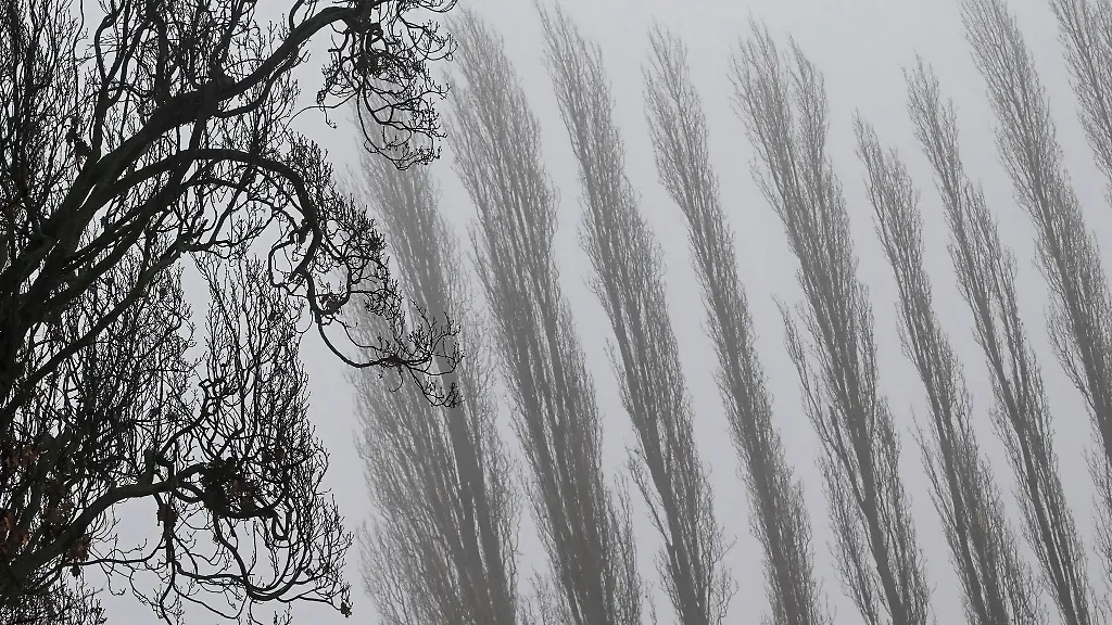 Auch-am-Donnerstagmorgen-bleibt-es-stellenweise-neblig