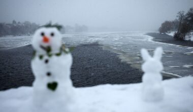 Hamburg & Schleswig-Holstein: Umweltbehörde warnt vor Betreten von Gewässern