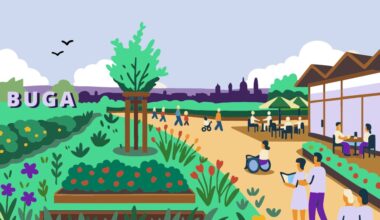 Stadtrat hat entschieden: Kleine Buga kommt